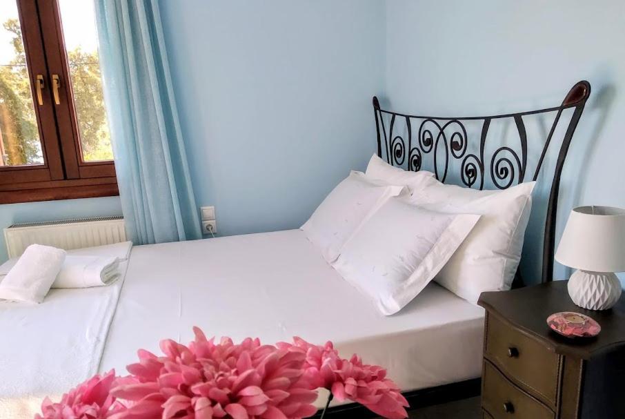 Pelion Seaside Luxury House Apartment Afissos Bagian luar foto