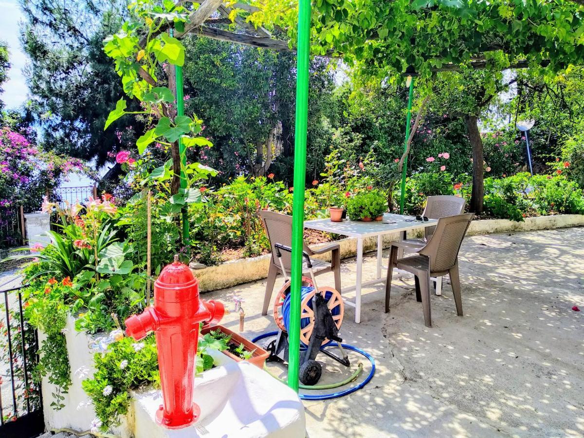 Pelion Seaside Luxury House Apartment Afissos Bagian luar foto