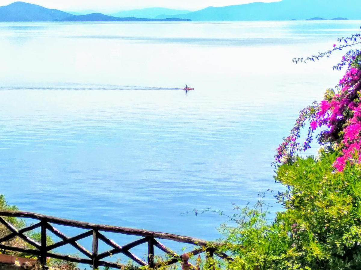 Pelion Seaside Luxury House Apartment Afissos Bagian luar foto