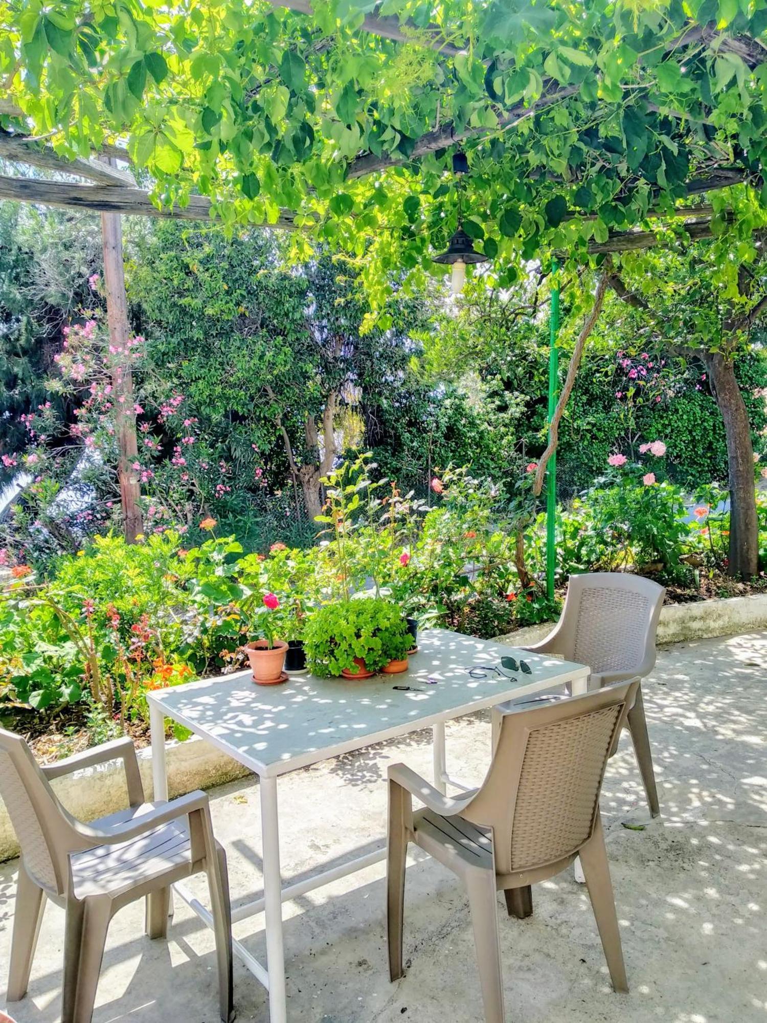 Pelion Seaside Luxury House Apartment Afissos Bagian luar foto